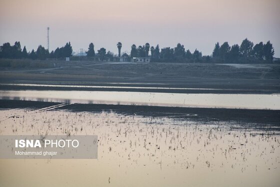 گزارش تصویری | سدهای تشنه استان گلستان - دی ماه ۱۴۰۴