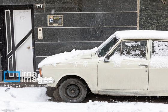 گزارش تصویری | برف در تبریز