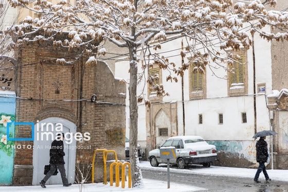 گزارش تصویری | برف در تبریز