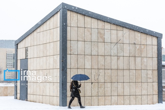 گزارش تصویری | برف در تبریز