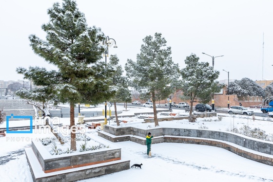 گزارش تصویری | برف در تبریز