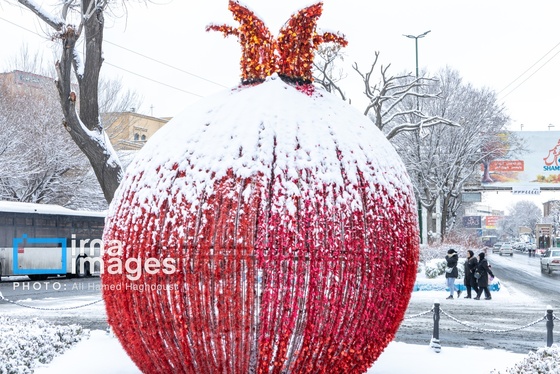 گزارش تصویری | برف در تبریز