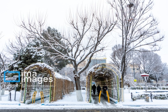 گزارش تصویری | برف در تبریز