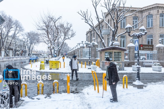 گزارش تصویری | برف در تبریز