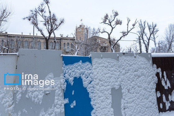 گزارش تصویری | برف در تبریز