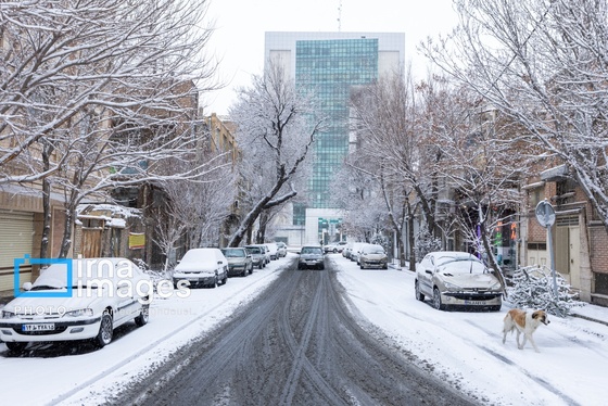 گزارش تصویری | برف در تبریز