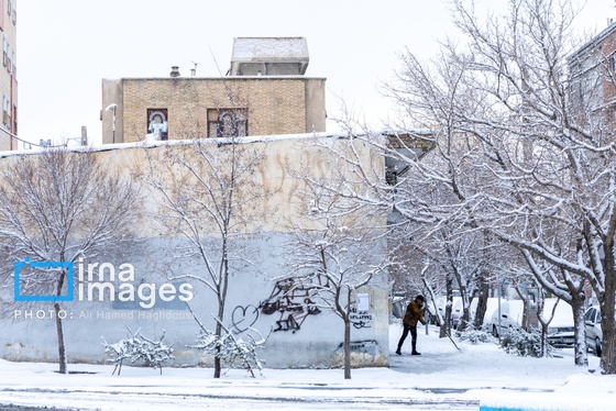 گزارش تصویری | برف در تبریز