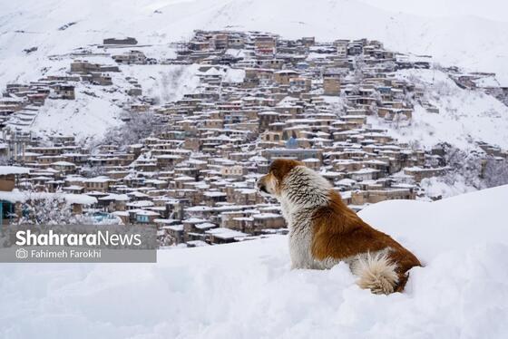گزارش تصویری | طبیعت زمستانی روستای کنگ