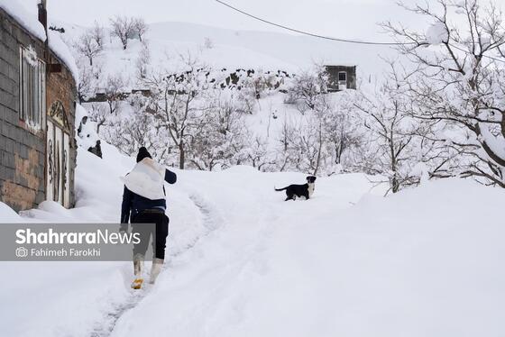 گزارش تصویری | طبیعت زمستانی روستای کنگ