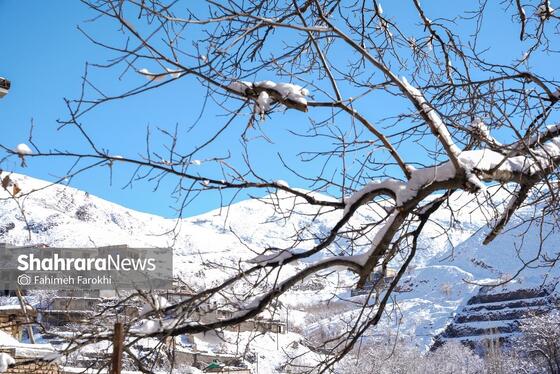 گزارش تصویری | طبیعت زمستانی روستای کنگ