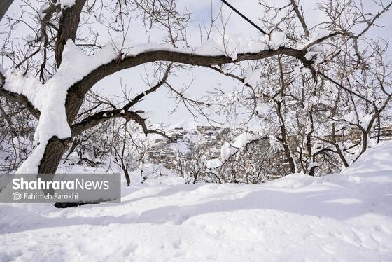 گزارش تصویری | طبیعت زمستانی روستای کنگ