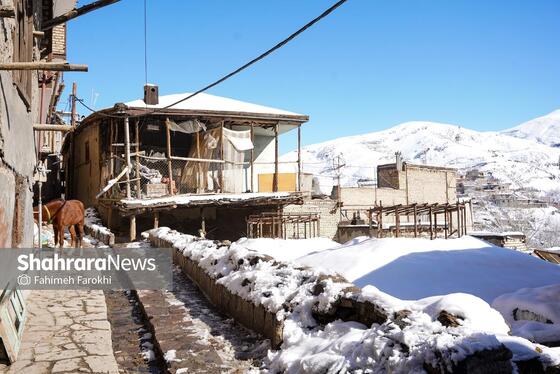 گزارش تصویری | طبیعت زمستانی روستای کنگ