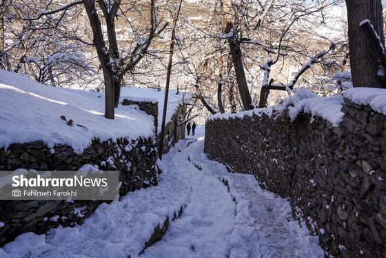 گزارش تصویری | طبیعت زمستانی روستای کنگ