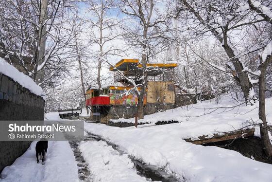 گزارش تصویری | طبیعت زمستانی روستای کنگ