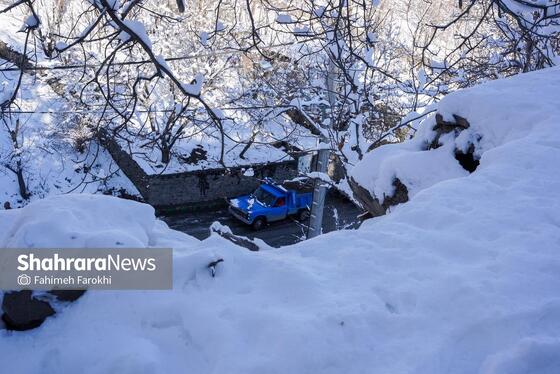 گزارش تصویری | طبیعت زمستانی روستای کنگ
