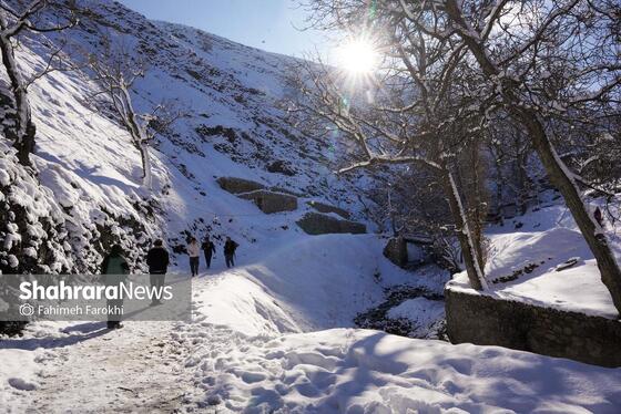 گزارش تصویری | طبیعت زمستانی روستای کنگ