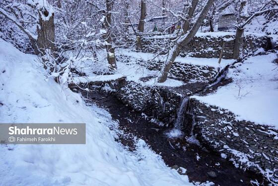 گزارش تصویری | طبیعت زمستانی روستای کنگ