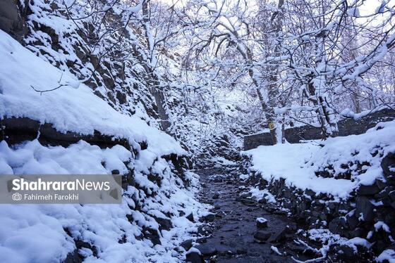 گزارش تصویری | طبیعت زمستانی روستای کنگ