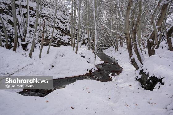 گزارش تصویری | طبیعت زمستانی روستای کنگ