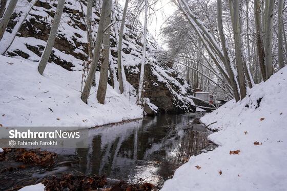 گزارش تصویری | طبیعت زمستانی روستای کنگ