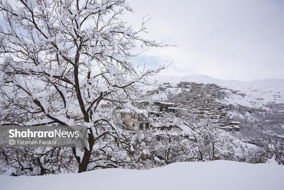 گزارش تصویری | طبیعت زمستانی روستای کنگ
