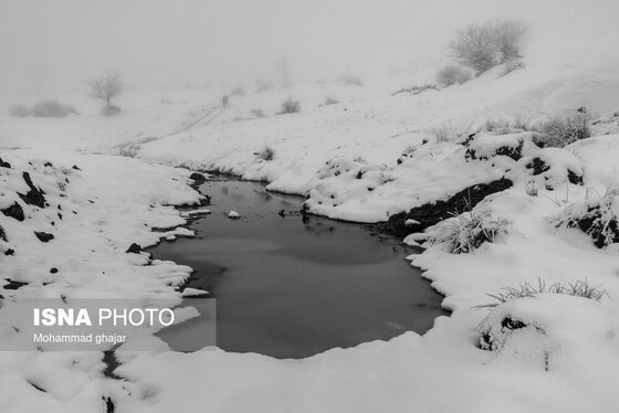گزارش تصویری | طبیعت زمستانی استان گلستان