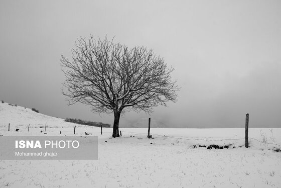 گزارش تصویری | طبیعت زمستانی استان گلستان