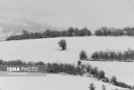 گزارش تصویری | طبیعت زمستانی استان گلستان