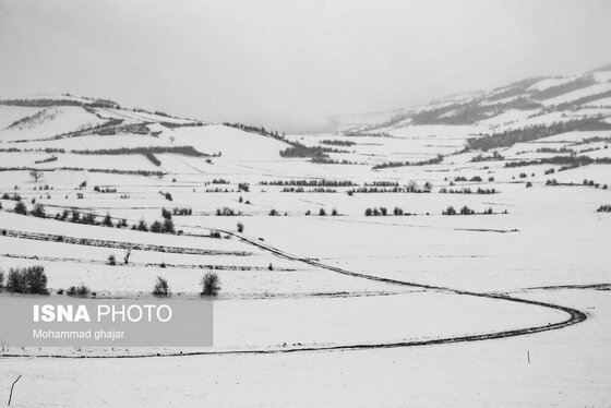 گزارش تصویری | طبیعت زمستانی استان گلستان