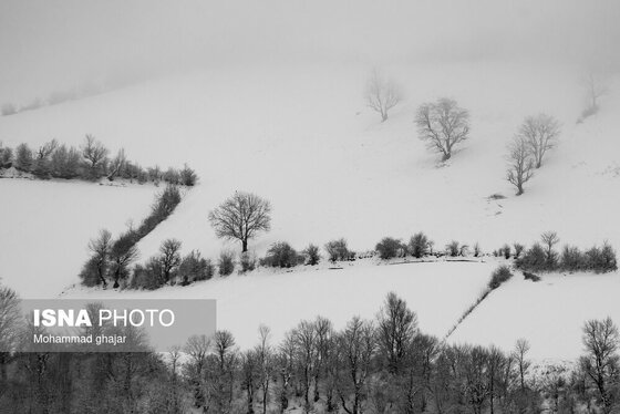 گزارش تصویری | طبیعت زمستانی استان گلستان