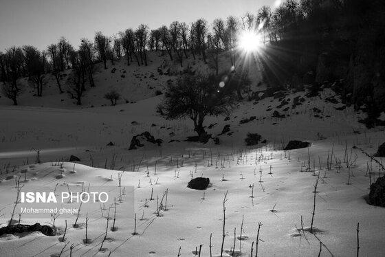 گزارش تصویری | طبیعت زمستانی استان گلستان