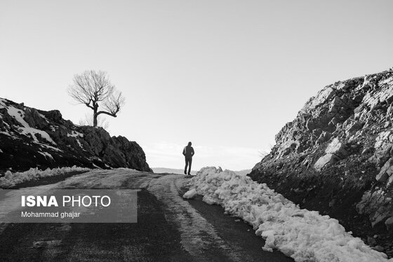 گزارش تصویری | طبیعت زمستانی استان گلستان