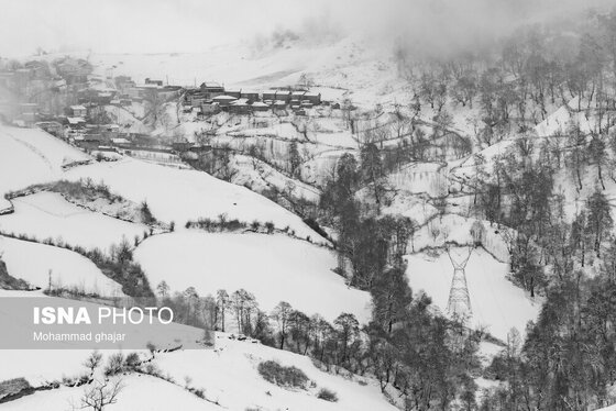 گزارش تصویری | طبیعت زمستانی استان گلستان