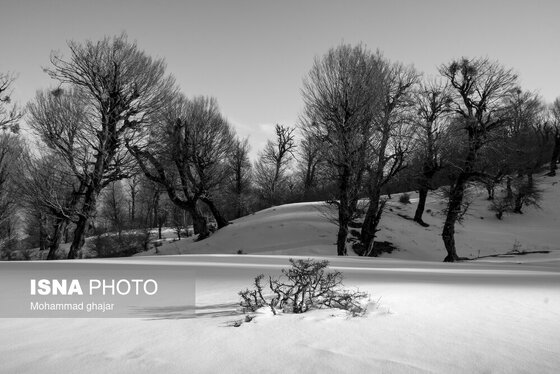 گزارش تصویری | طبیعت زمستانی استان گلستان