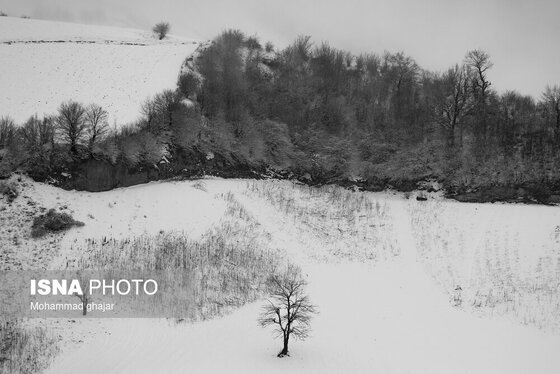 گزارش تصویری | طبیعت زمستانی استان گلستان