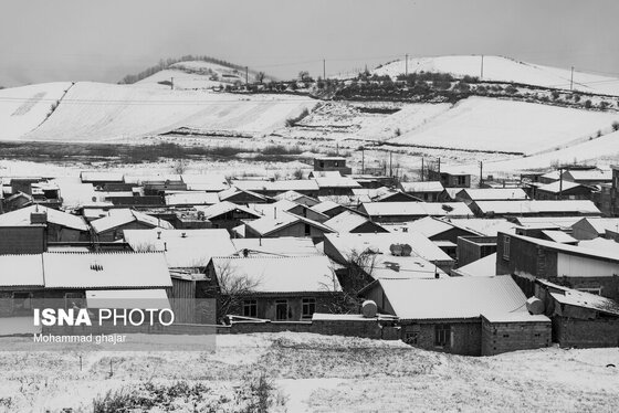 گزارش تصویری | طبیعت زمستانی استان گلستان