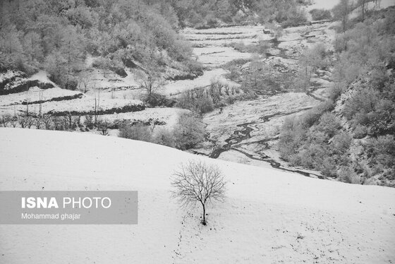 گزارش تصویری | طبیعت زمستانی استان گلستان