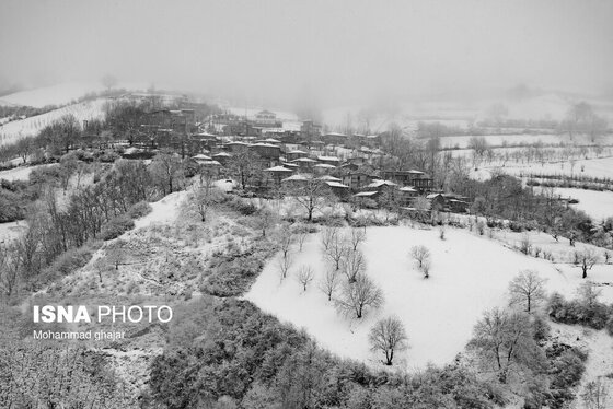 گزارش تصویری | طبیعت زمستانی استان گلستان