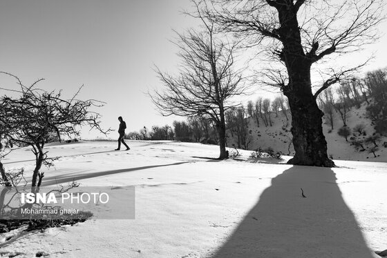 گزارش تصویری | طبیعت زمستانی استان گلستان