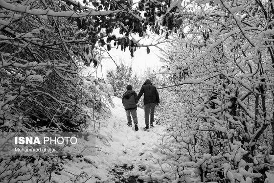 گزارش تصویری | طبیعت زمستانی استان گلستان