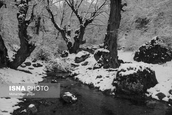 گزارش تصویری | طبیعت زمستانی استان گلستان