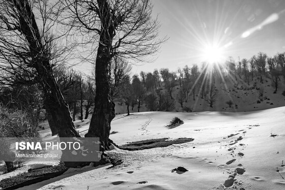 گزارش تصویری | طبیعت زمستانی استان گلستان