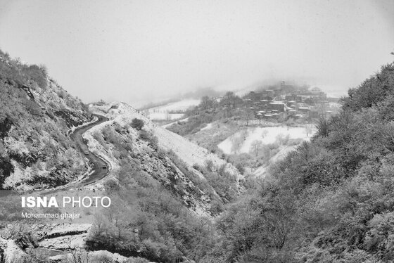 گزارش تصویری | طبیعت زمستانی استان گلستان