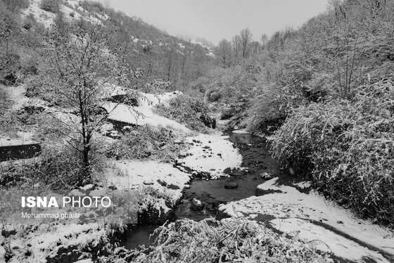 گزارش تصویری | طبیعت زمستانی استان گلستان
