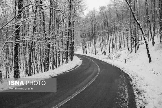 گزارش تصویری | طبیعت زمستانی استان گلستان