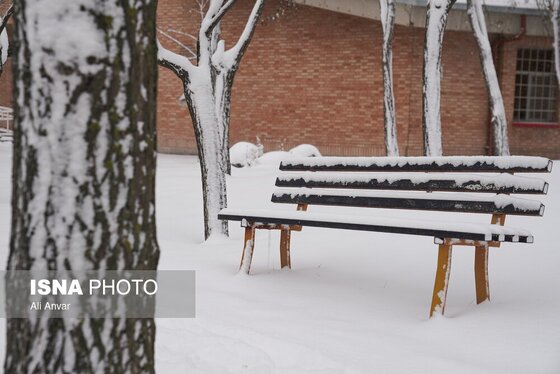 گزارش تصویری | اردبیلِ سفید