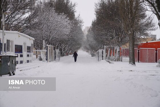 گزارش تصویری | اردبیلِ سفید