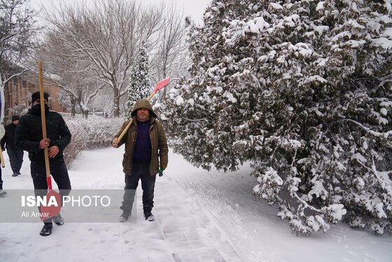 گزارش تصویری | اردبیلِ سفید