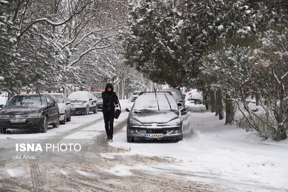 گزارش تصویری | اردبیلِ سفید