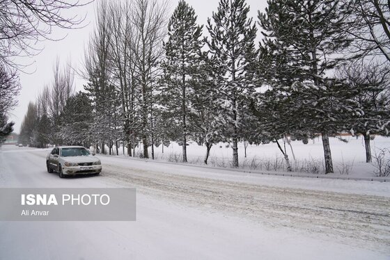 گزارش تصویری | اردبیلِ سفید
